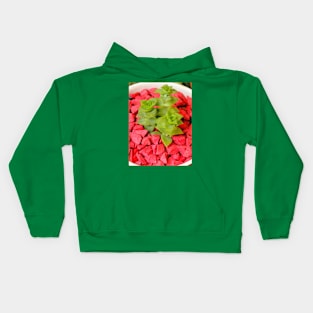 Green succulent in white pot with red stones. Kids Hoodie